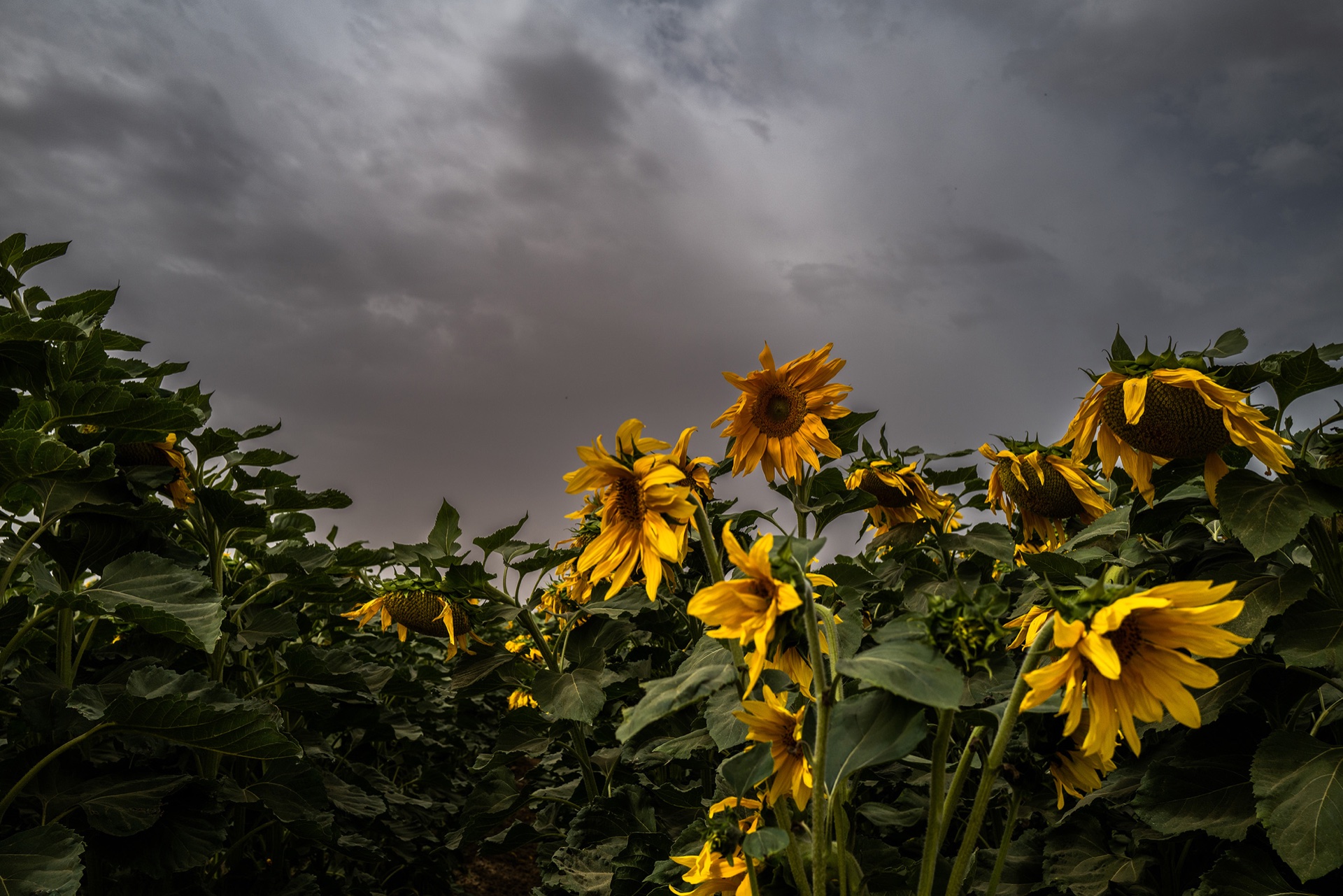 Fine Art Photography by Yarnin Peled - landscapes