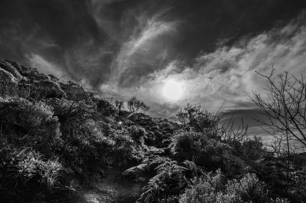 Mountain Summit Path B&W Fine Art Photography by Yarnin Peled